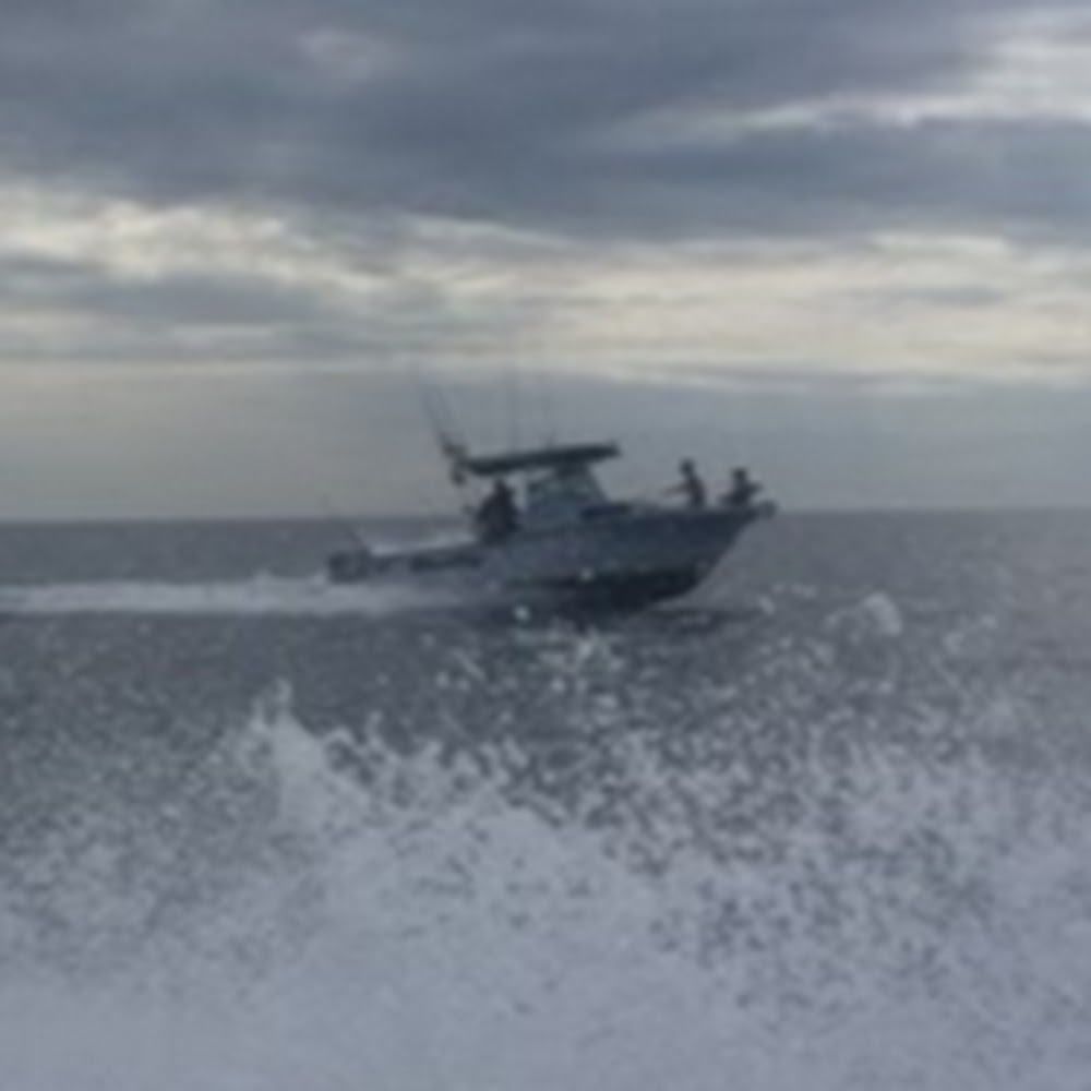 Meet your Posher, Reagan